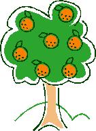 Orange Tree Kids