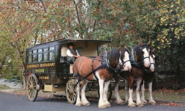 Clydesdales Horse Drawn Restaurant